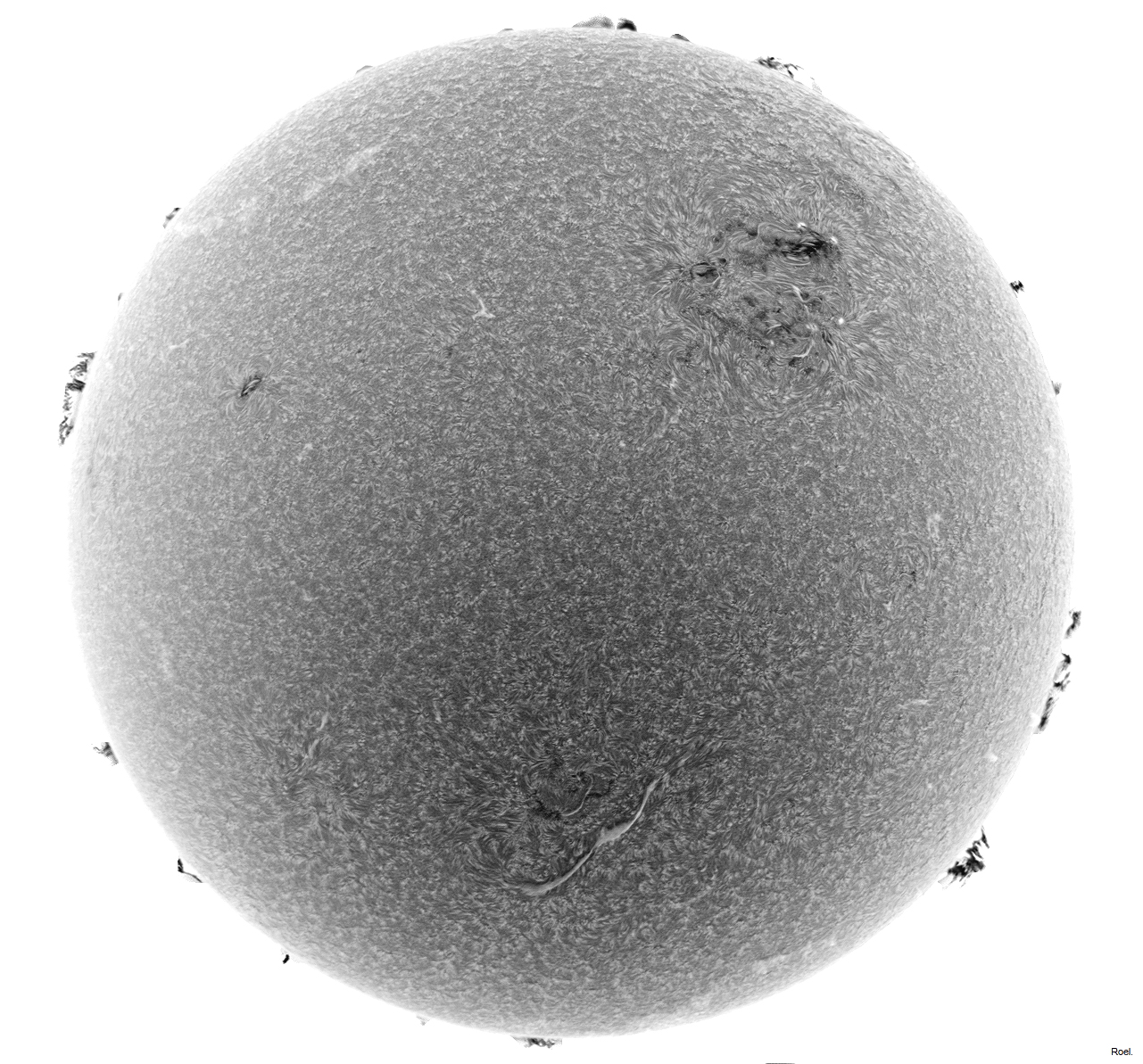 Sol del 13 de noviembre del 2022-Solarmax 90-DS-BF30-1az-neg.jpg