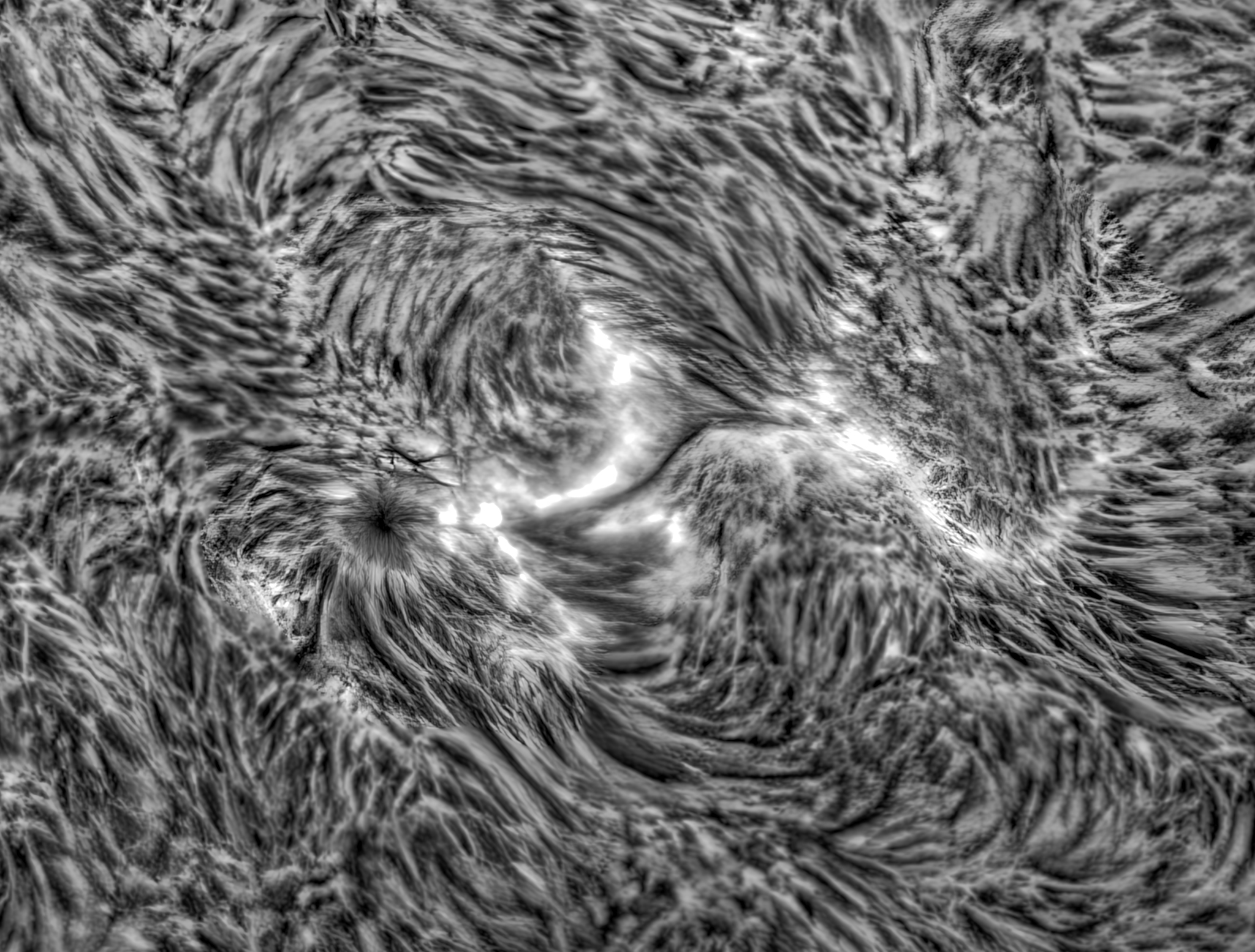 AR150/F8,TZ3x,Quark+LS40+IMX533 BIN3