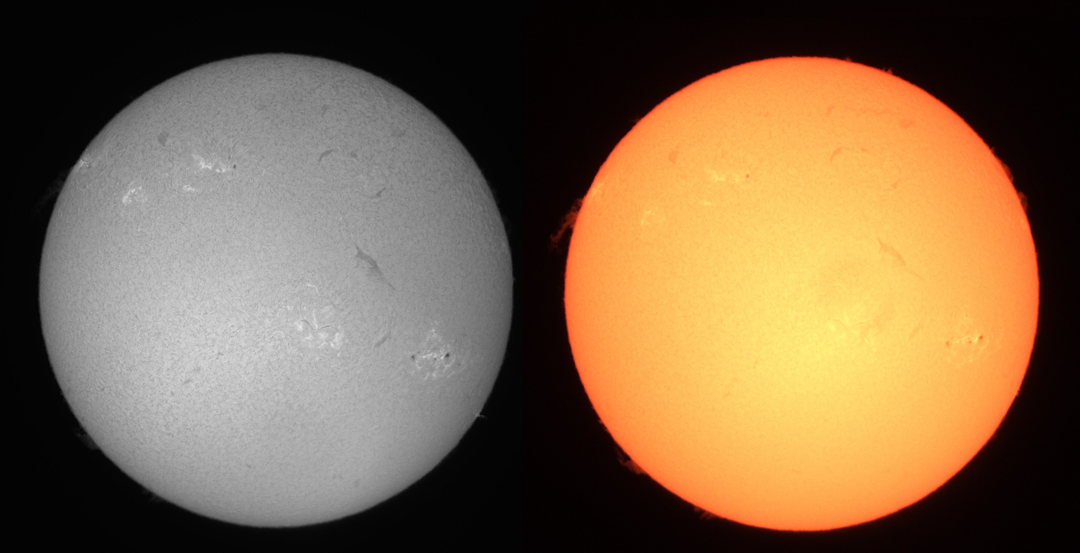 Ha Sun Altair 183 Mono & Color Cams sml.jpg