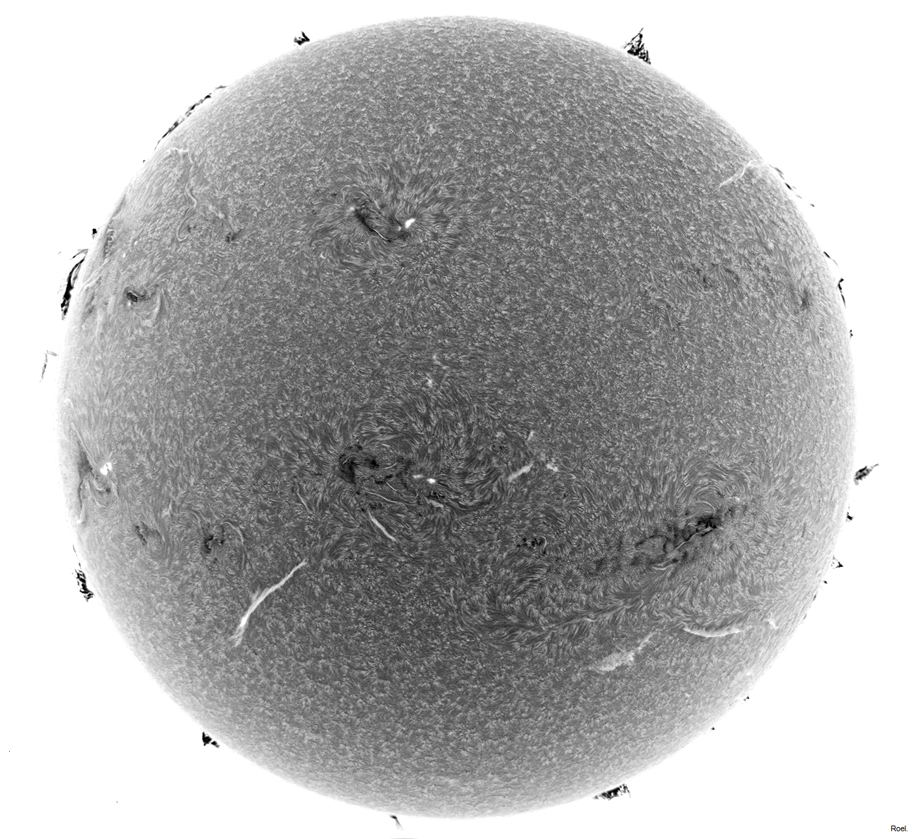 Sol del 14 de enero del 2023-Solarmax 90-DS-BF30-1az-neg.jpg