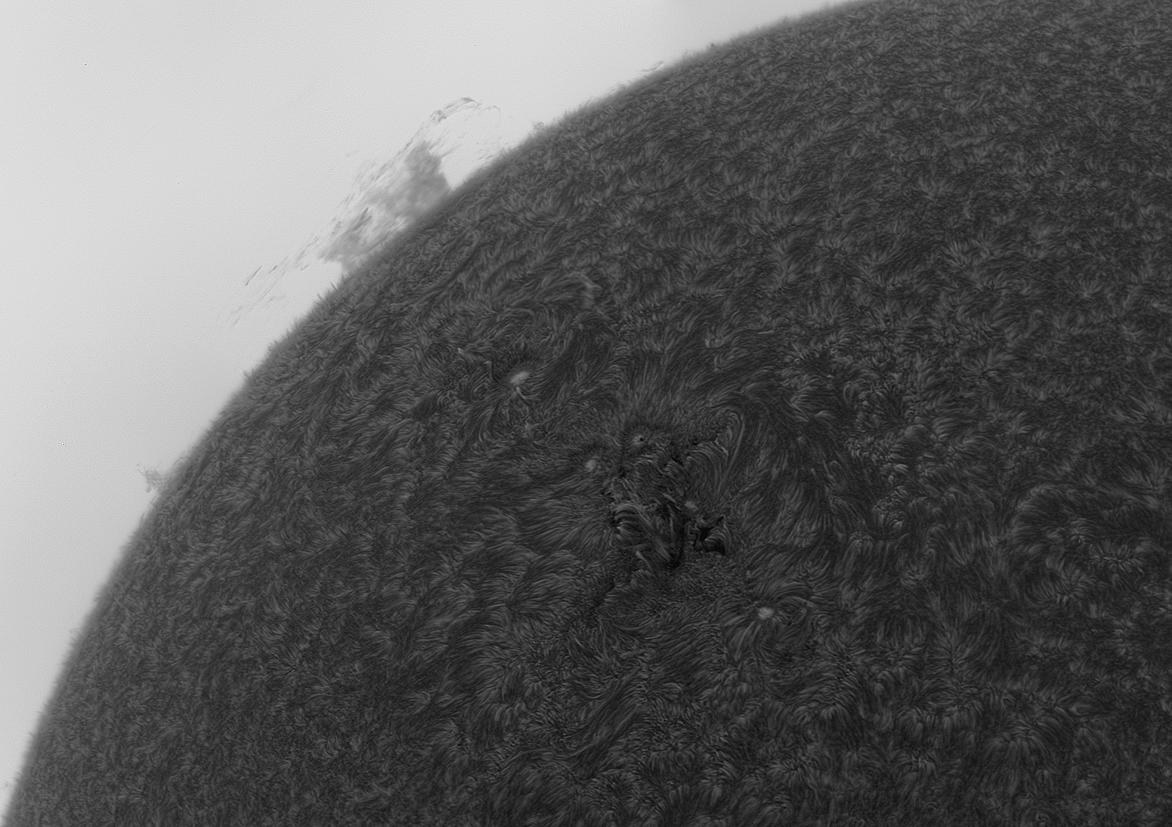 AR13311.jpg