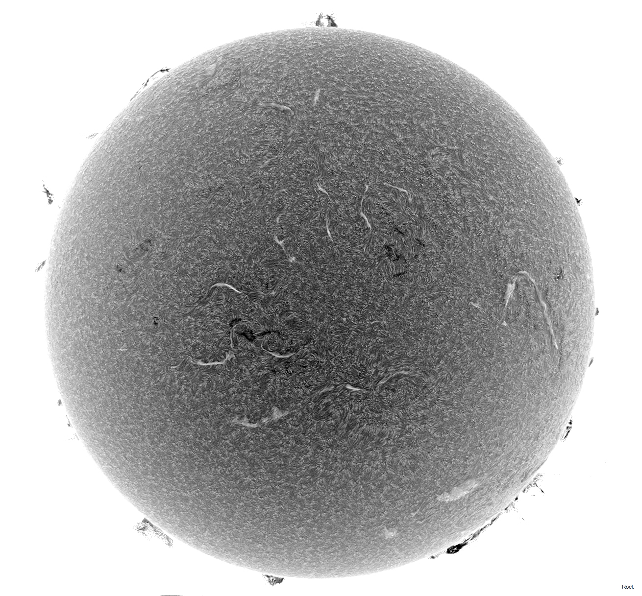 Sol del 15 de Marzo 2024-Solarmax 90-DS-BF30-1az-neg.jpg