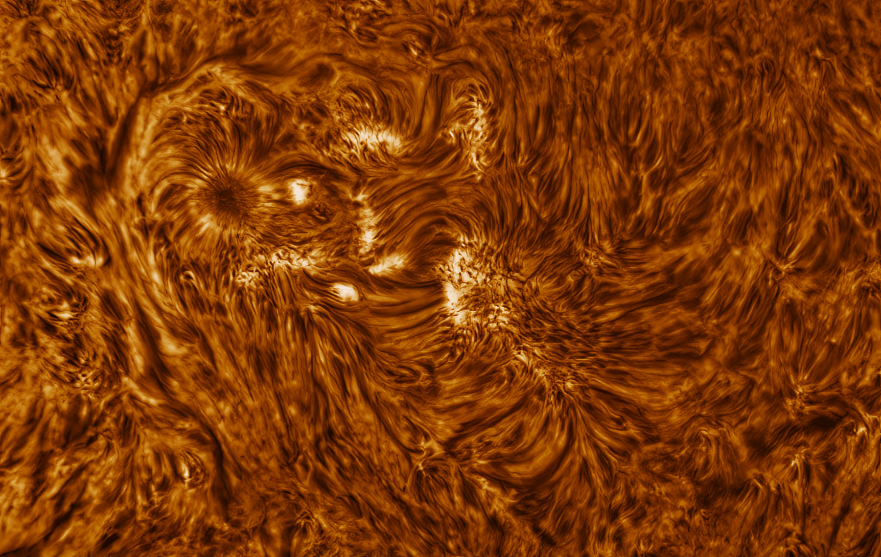 AR200/F8.5, TV4x, IMX429