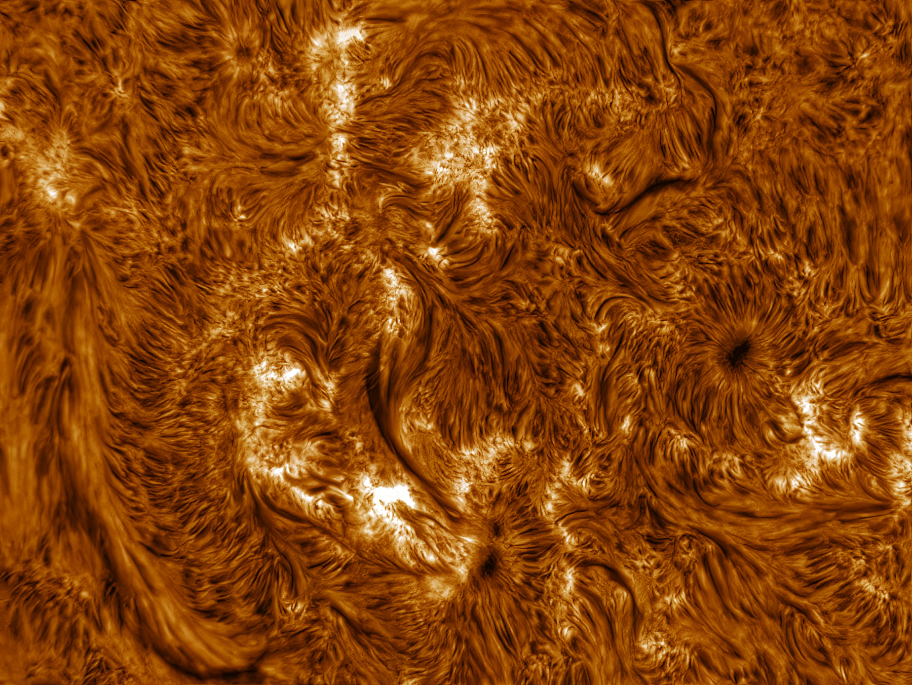 AR200/F8.5, TV4x, IMX429