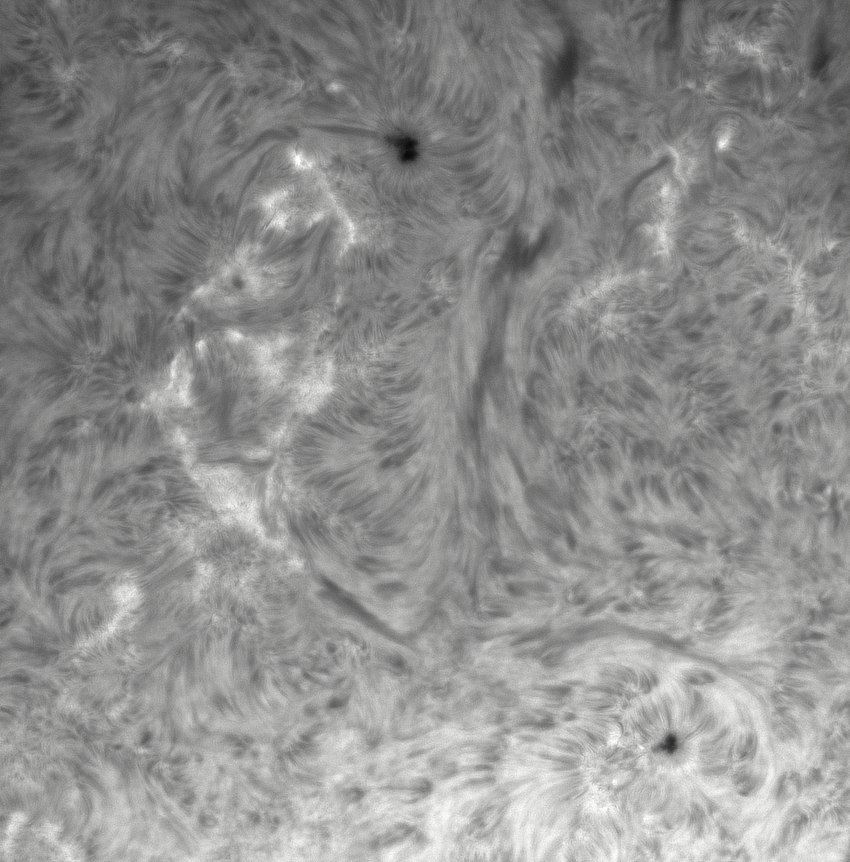 1230-9 Chromosphere 3.jpg