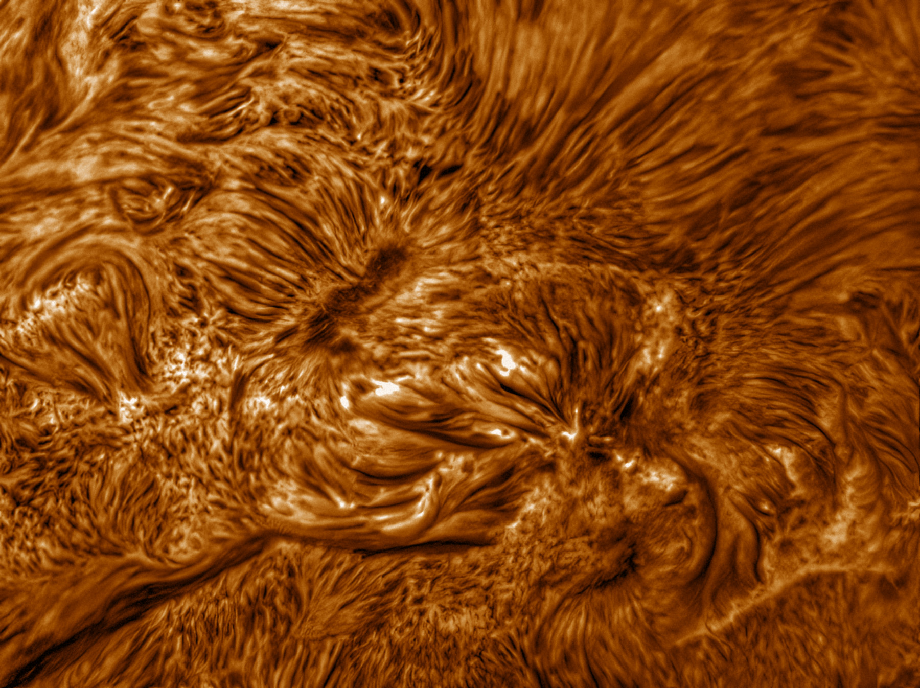 AR200/F8.5, TV6x, IMX429