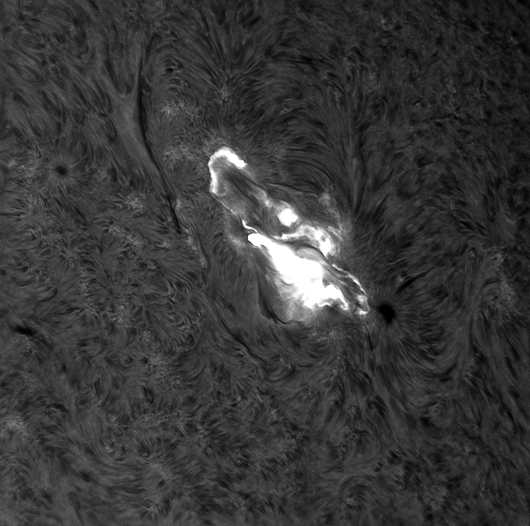 AR 3663 Flare bw.png